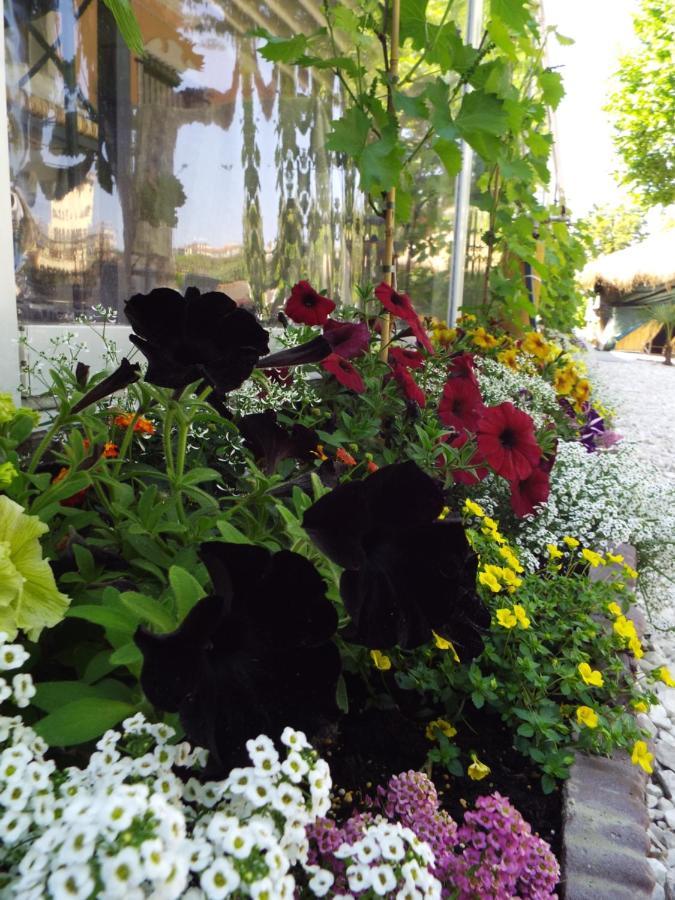 Ristorante Albergo Corona Novi Ligure Dış mekan fotoğraf